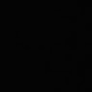 Meet your Posher, Camille